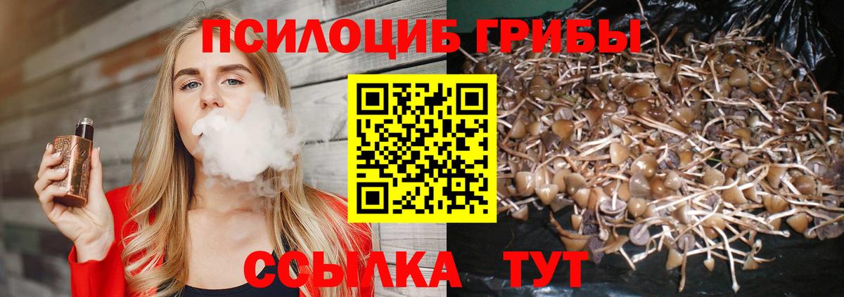 Галлюциногенные грибы MAGIC MUSHROOMS  Вход с VPN  как найти   Новошахтинск 