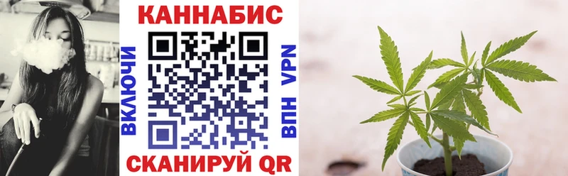 Бошки марихуана Amnesia  ОМГ ОМГ вход  Новошахтинск 